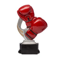 trofeo boxe pugilato premiazioni sportive