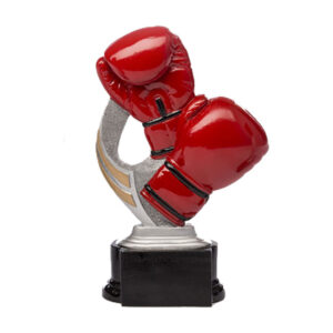 trofeo boxe