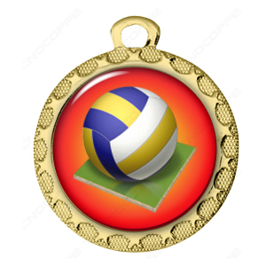 medaglia pallavolo