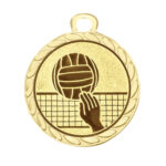 medaglia pallavolo